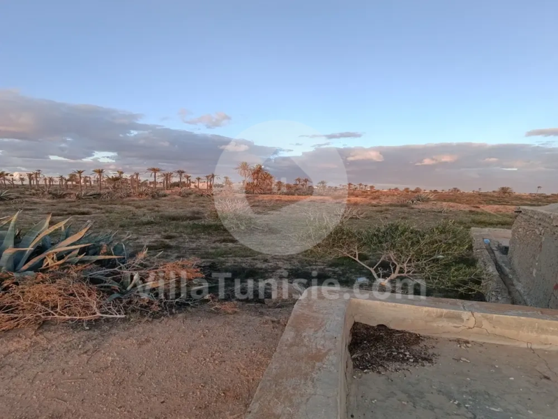 terrain agricole temlal djerba