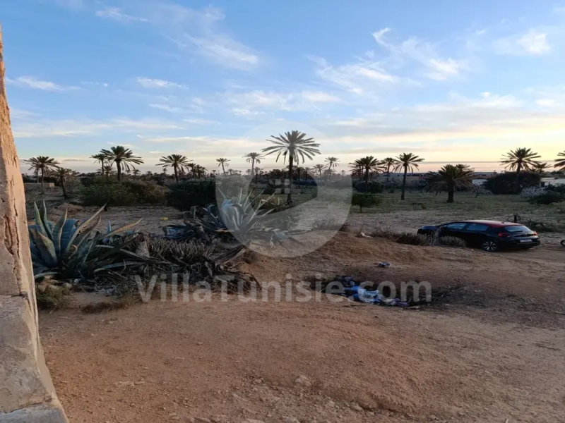 terrain agricole temlal houmt souk djerba